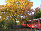 Straßenbahn im Herbst